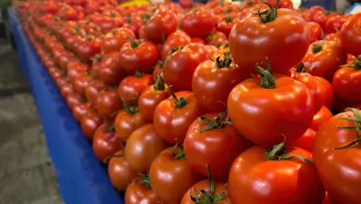 Yüksek potasyumlu topraklarda yetişiyor, fiyatı 10 liraya düştü