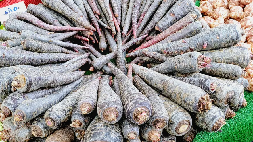 30'dan fazla ülkeye ihraç ediliyor. Kış sofralarının favorisi, sağlığa sayısız faydası var 
