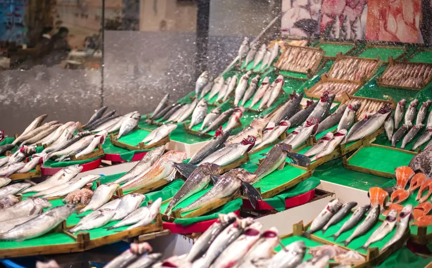 Karadeniz'deki bolluk fiyatını düşürdü: Kilosu 100 liraya geriledi 2