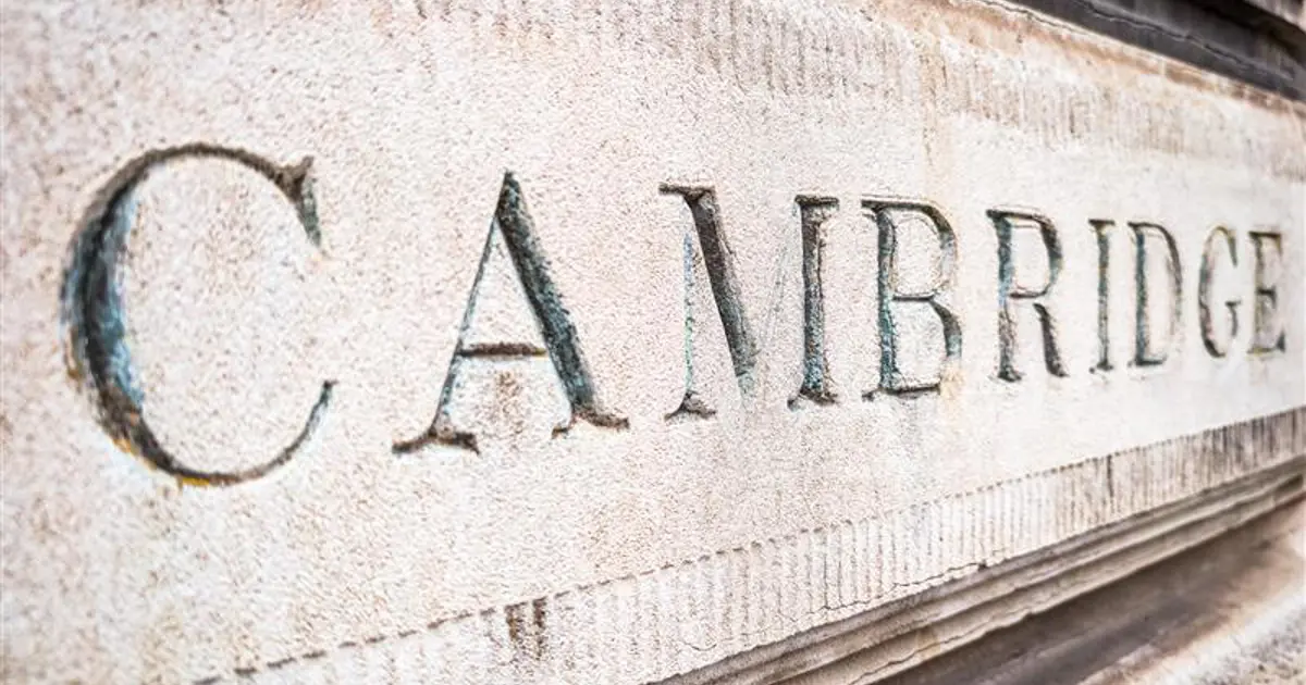 Cambridge Sözlüğü yılın kelimesi olarak "Parasosyal"i seçti