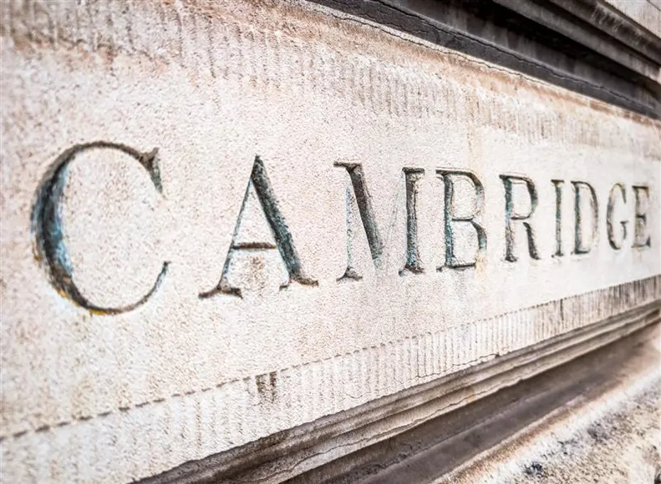 Cambridge Sözlüğü yılın kelimesi olarak 