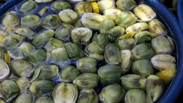 Manda köyde 4 milyondan fazla üretildi. Tane fiyatı 20 lira