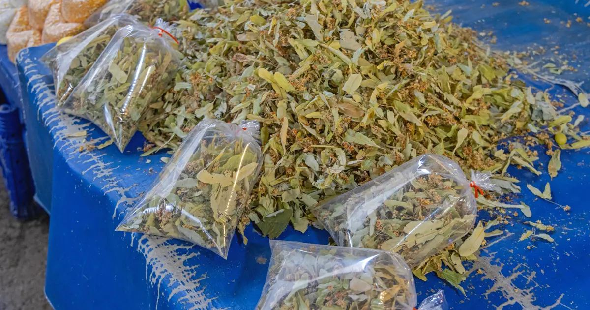 İdrar söktürücü ve ateş düşürücü etkisi var. Kilosu 4 bin liraya kadar çıktı