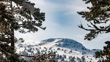 ''Harikalar Diyarı'' olarak da biliniyor. Alplerden sonra dünyanın en temiz ikinci havasına sahip