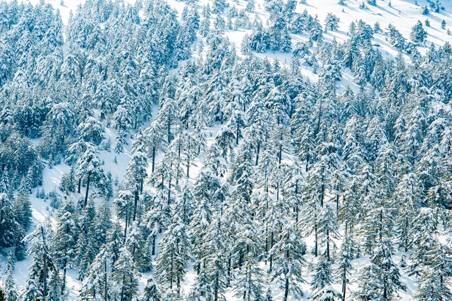 ''Harikalar Diyarı'' olarak da biliniyor. Alplerden sonra dünyanın en temiz ikinci havasına sahip 