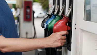 Benzinin alternatifi bulundu. Tek bir ineğin gübresiyle otomobiller kilometrelerce yol gidecek
