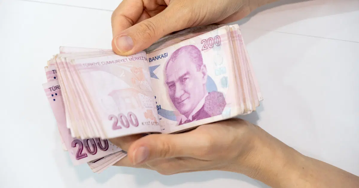 vergi denetim kurulu başkanlığı