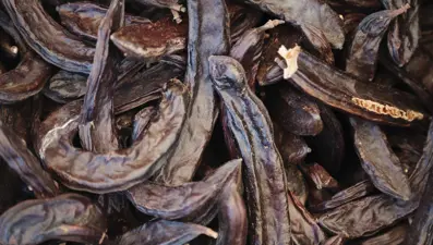 Havalar soğuyunca talep arttı: Hastalıktan korunmak isteyenler düzenli olarak tüketiyor