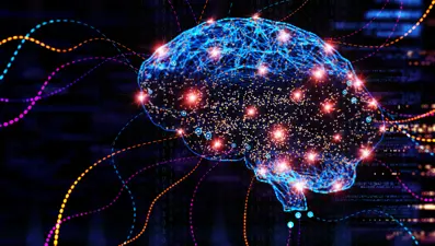 İnsan beyninin 5 evresi: Ergenlik 32 yaşına kadar sürüyor