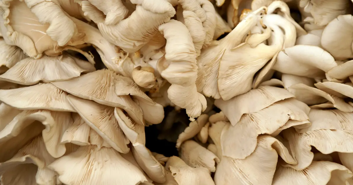 Pazarda satılıyor, tüketen hastaneye koşuyor. Yiyenler küçük insanlar görüyor