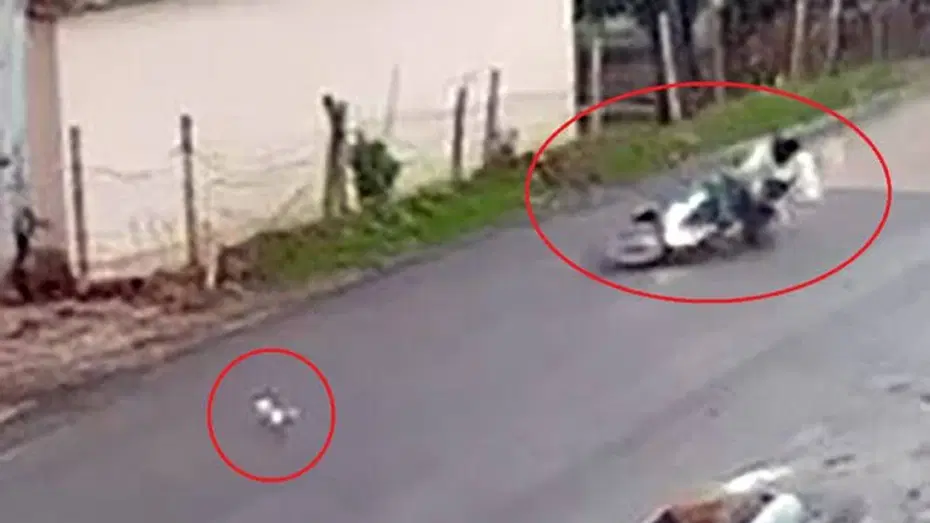 Kediye çarpmamak için direksiyonu kırdı: Motosiklet kazası kamerada