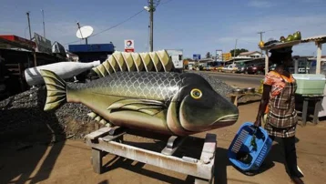 Gana’nın sıra dışı cenaze geleneği: Her tabut bir hayatı anlatıyor
