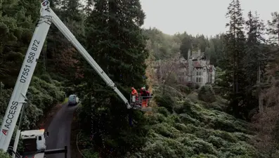 Dünyanın en büyük yılbaşı ağacı süslendi