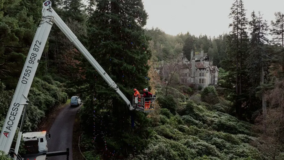 Dünyanın en büyük yılbaşı ağacı süslendi