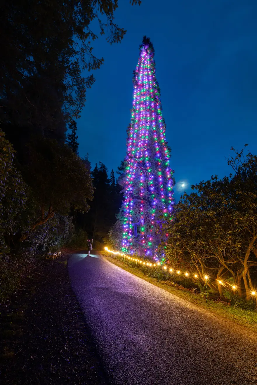 AĞACI SÜSLEMEK İKİ GÜN SÜRDÜ 1