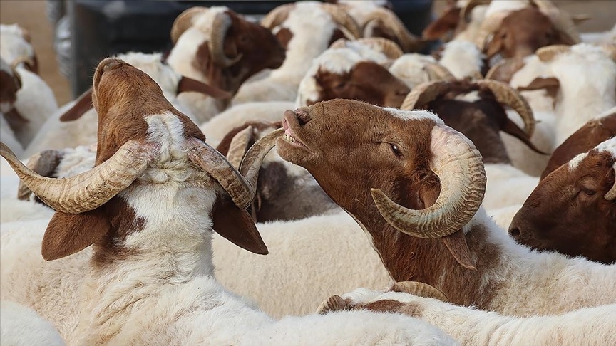 Bayram tatili ne zaman başlıyor? 9 günlük Kurban Bayramı tatili için geri sayım