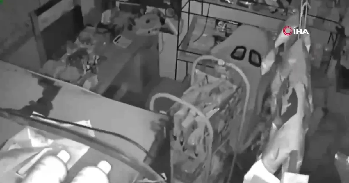 Endonezya'da 7.4 büyüklüğünde deprem: 1 kişi öldü