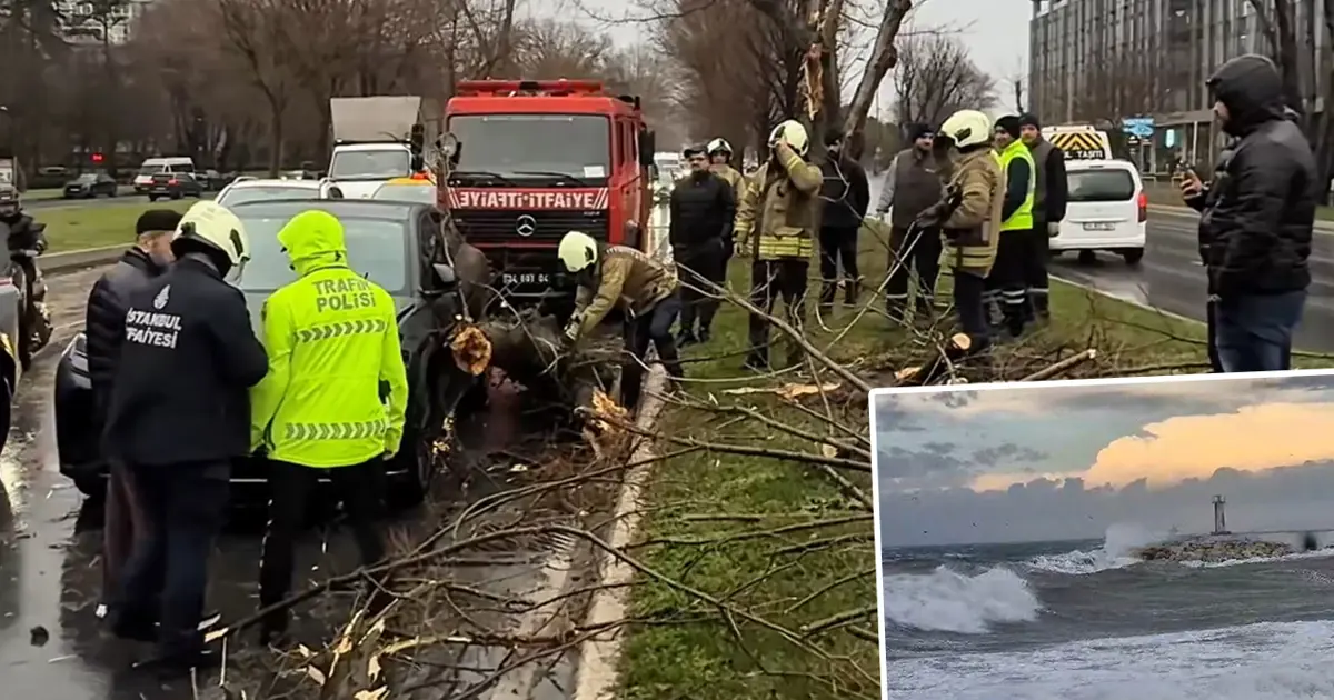Fırtına başladı, İstanbul'da rüzgar uçuruyor! Ağaçlar devrildi, dev dalgalar sahilleri dövüyor
