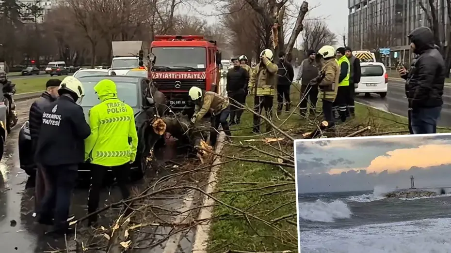Fırtına başladı, İstanbul'da rüzgar uçuruyor! Ağaçlar devrildi, dev dalgalar sahilleri dövüyor