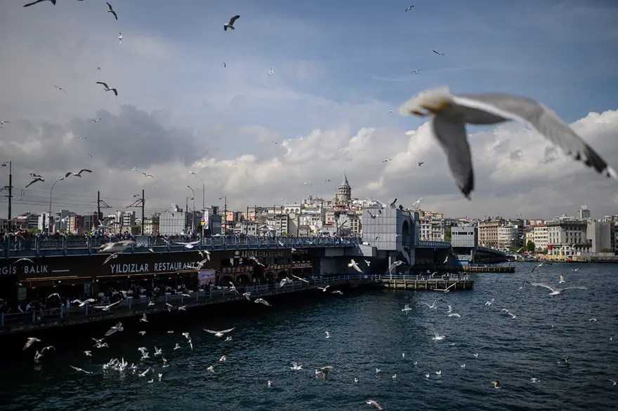 Yaz erkenden gelecek! Yaz erkenden gelecek!