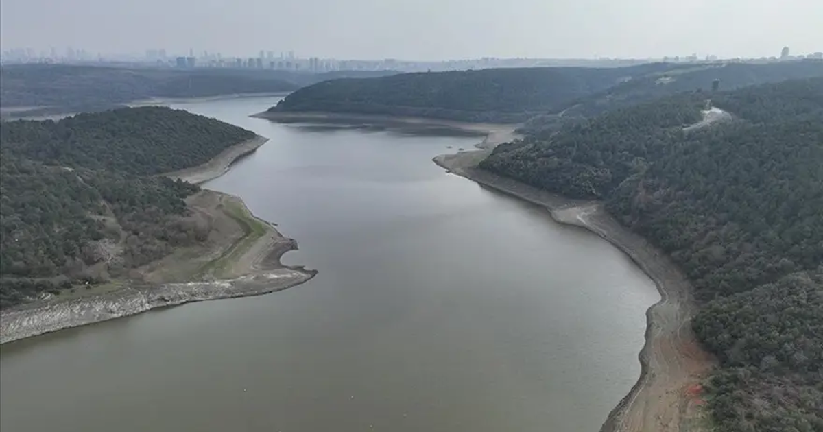 Yağışlar yarıyor, İstanbul'un barajları doluyor. İşte son durum