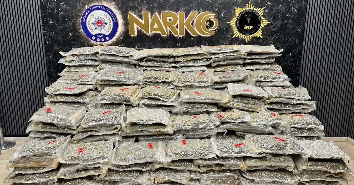 İstanbul'da dört TIR'da 527 kilo uyuşturucu ele geçirildi