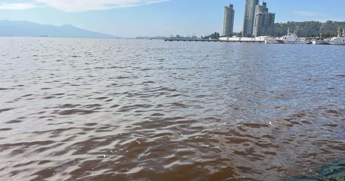 İzmir Körfezi'nde plankton patlaması. Deniz kahverengiye döndü