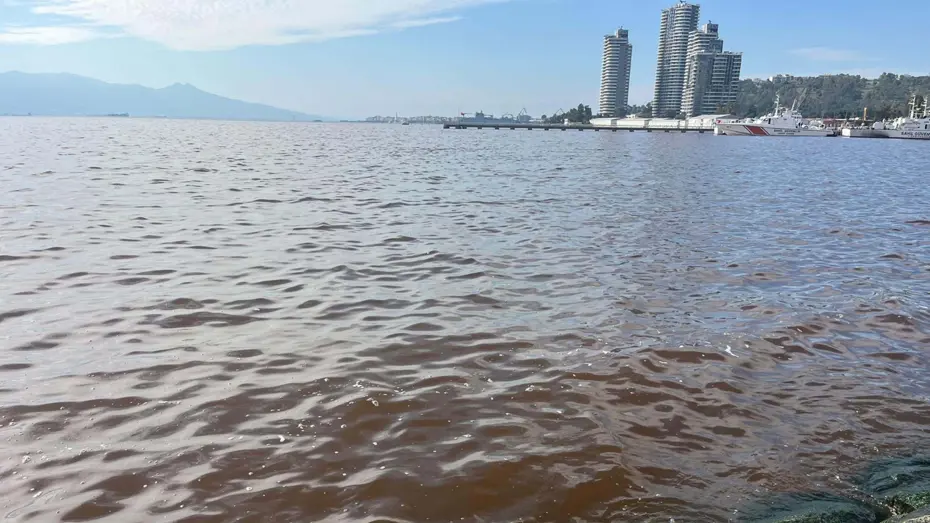 İzmir Körfezi'nde plankton patlaması. Deniz kahverengiye döndü
