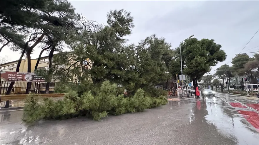 Önce kış sonra yalancı bahar! İstanbul'a kar değil yağmur yağacak sonra sıcaklık hızla artacak 1