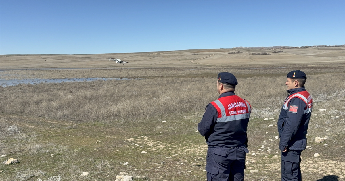 Jandarma flamingo nöbetinde. Drone'la takip ediliyor, 24 saat nöbet tutuluyor