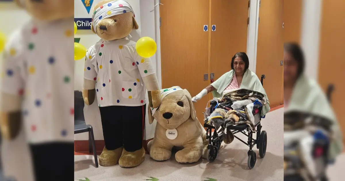 Elindeki yarayı köpek yaladı, 4 organını kaybetti