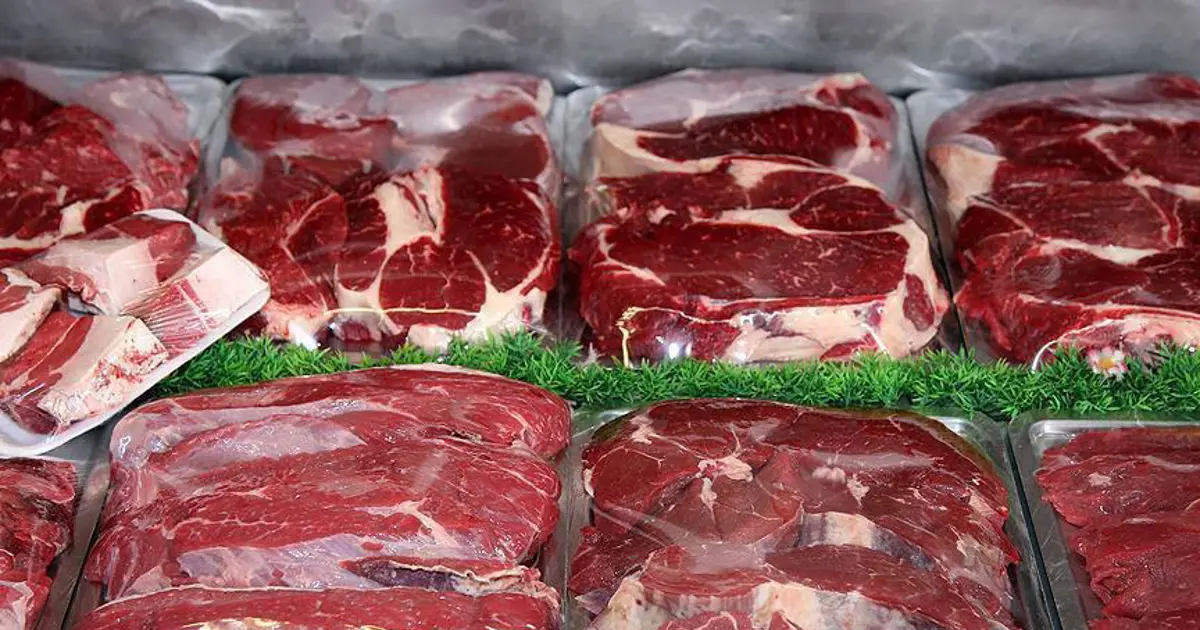 Mersin'de 500 kilogram bozuk et bulundu