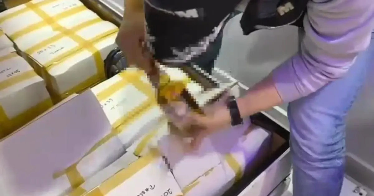 İstanbul'da sahte içki operasyonu. Baza altından koli koli çıktı