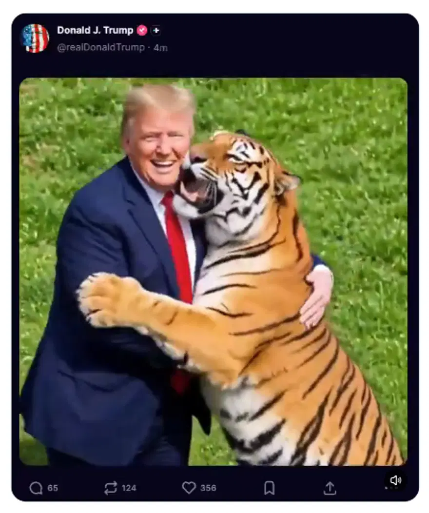 Donald Trump'ın paylaştığı kaplan saldırısı videosu sosyal medyada büyük tepki topladı