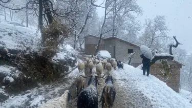 Mahalleler beyaza büründü, kar kalığı 15 santimi geçti