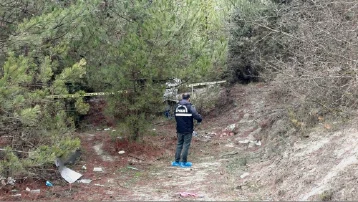 Kayıp olarak aranıyordu, ormanda ölü bulundu