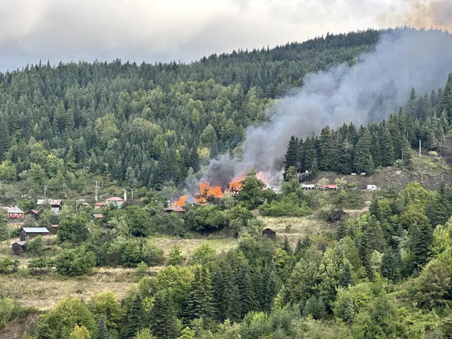 Kastamonu'da köy yangını. Alevler yedi eve sıçradı, müdahale sürüyor