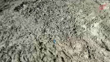 İstanbul'da korkunçluğu cinayet. Kayıp Çinli işleri insanı toprağa gömülü bulundu