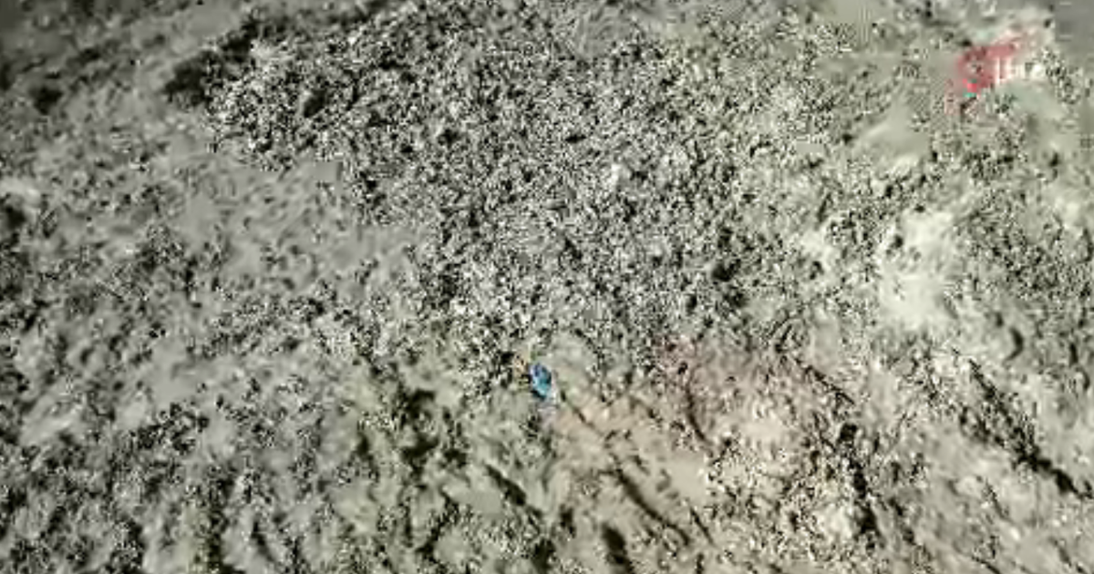 İstanbul'da korkunç cinayet. Kayıp Çinli iş insanı toprağa gömülü bulundu