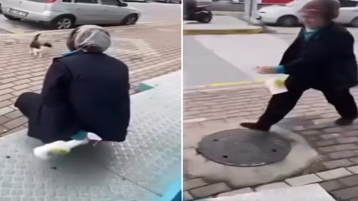 Kedinin yüzüne yağ çözücü sprey sıkmıştı. Cezası 4 taksitle bin 500 TL!