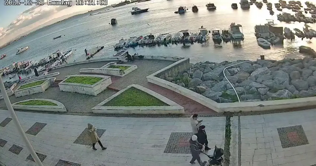 Oltasındaki balığa yaklaşan kediyi tekmeleyip denize fırlattı