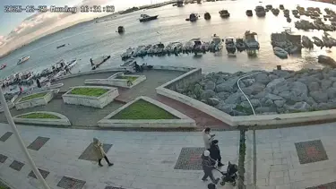 Oltasındaki balığa yaklaşan kediyi tekmeleyip denize fırlattı