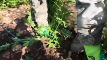 Diyarbakır'da uyuşturucu operasyonu. 17 gözaltı