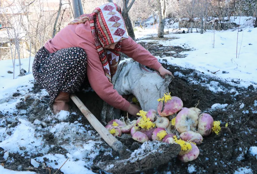 Konya'da asırlardır süren gelenek. Bozulmasın diye toprağın altına gömüyorlar 2 Konya'da asırlardır süren gelenek. Bozulmasın diye toprağın altına gömüyorlar 2