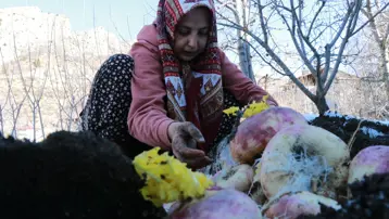 Konya'da asırlardır süren gelenek. Bozulmasın diye toprağın altına gömüyorlar