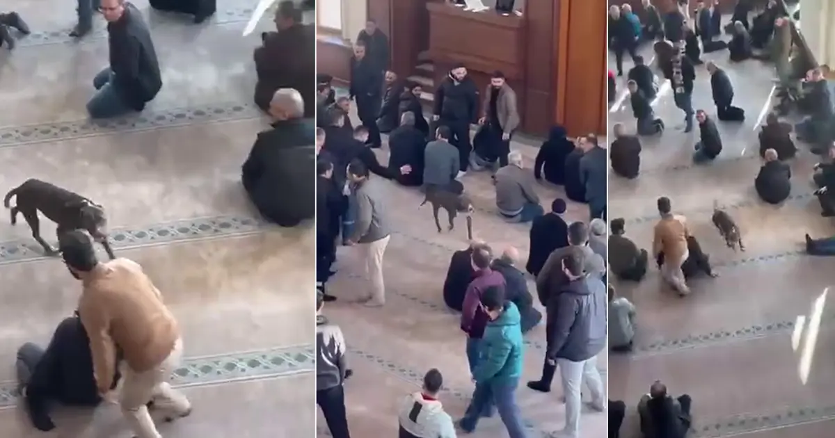 Cuma vaazı sırasında camiye pitbullun girdiği anlar kamerada