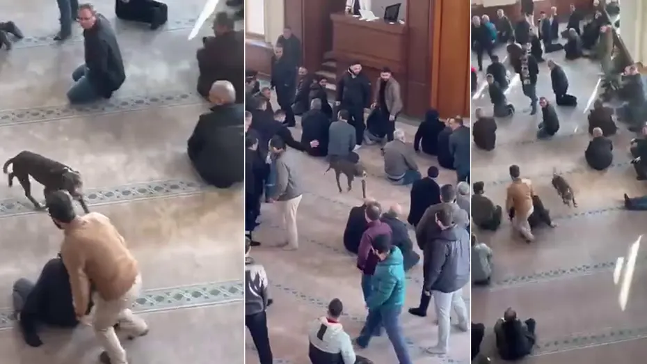Cuma vaazı sırasında camiye pitbullun girdiği anlar kamerada