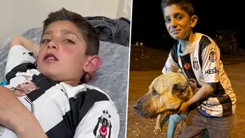 10 yaşındaki Sancar'ı ayılardan Kral kurtardı