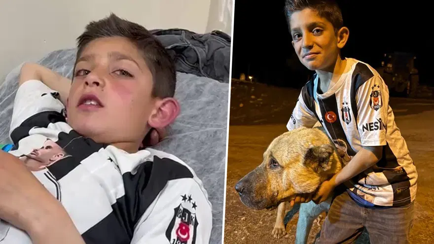 10 yaşındaki Sancar'ı ayılardan Kral kurtardı 