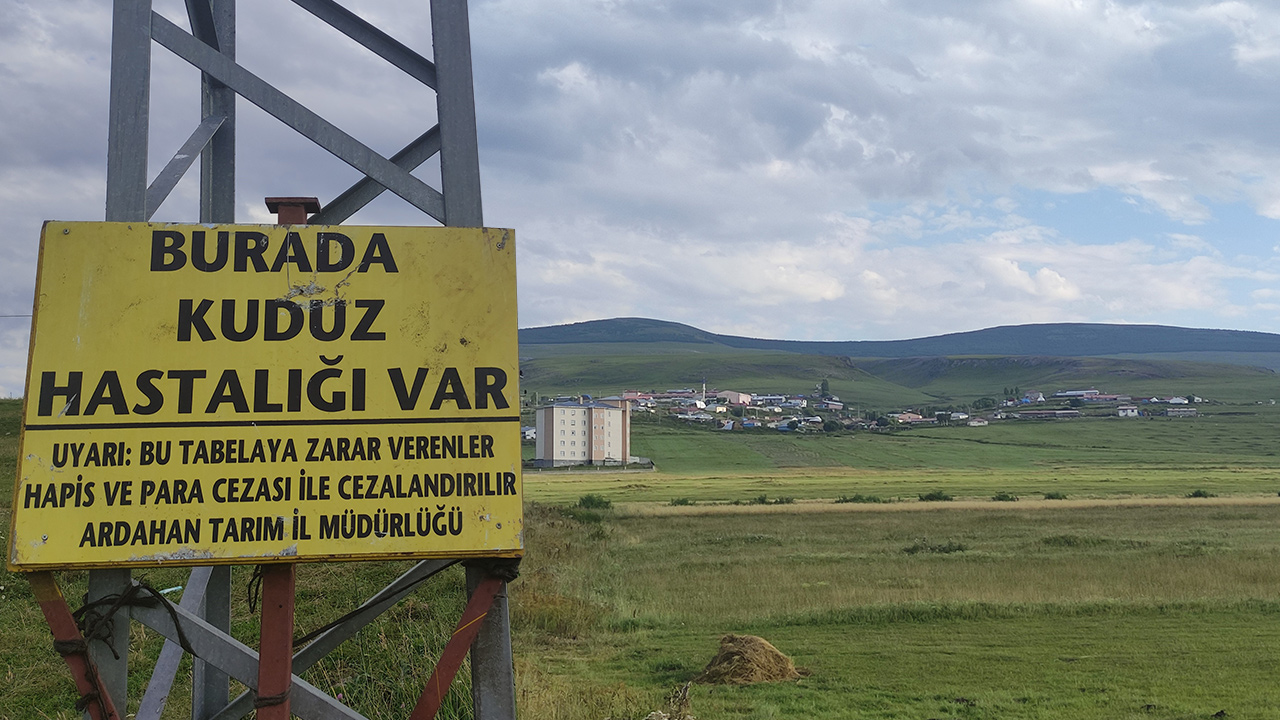Mahallede kuduz alarmı verildi. Giriş çıkışlar yasaklandı, karantinaya alındı